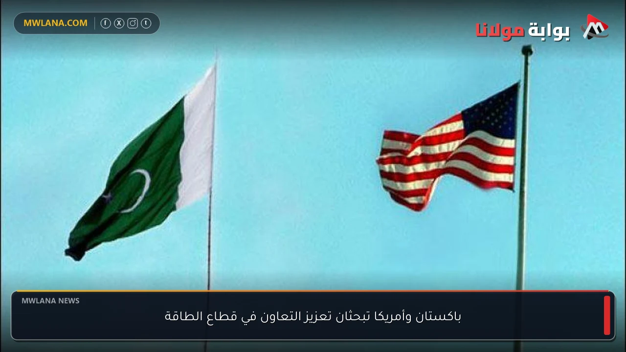 باكستان وأمريكا تبحثان تعزيز التعاون في قطاع الطاقة