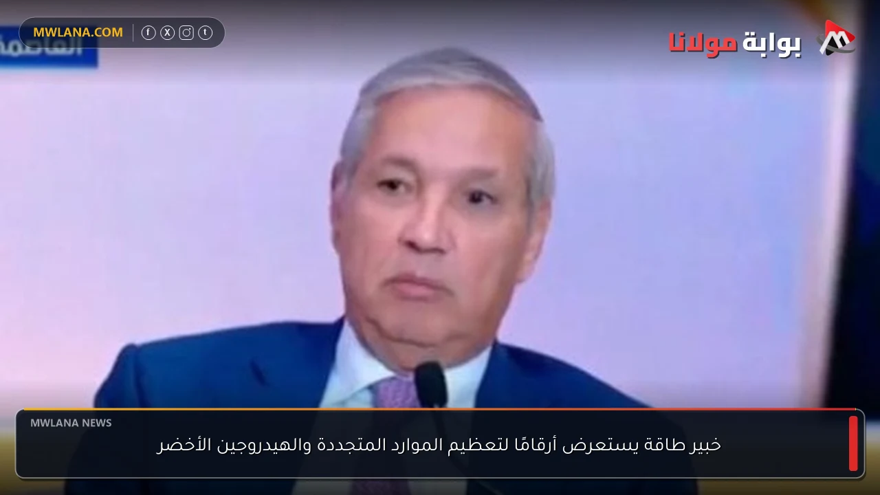 خبير طاقة يستعرض أرقامًا لتعظيم الموارد المتجددة والهيدروجين الأخضر