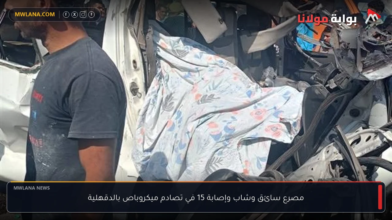مصرع سائق وشاب وإصابة 15 في تصادم ميكروباص بالدقهلية