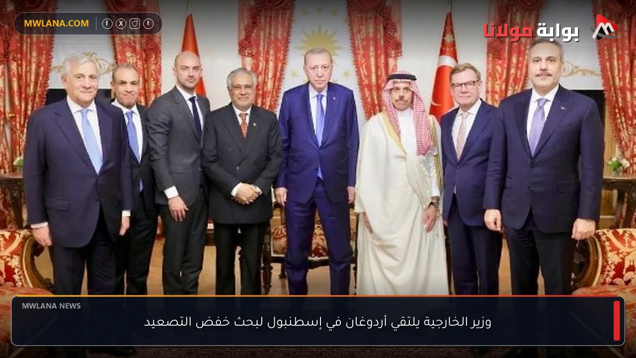 وزير الخارجية يلتقي أردوغان في إسطنبول لبحث خفض التصعيد