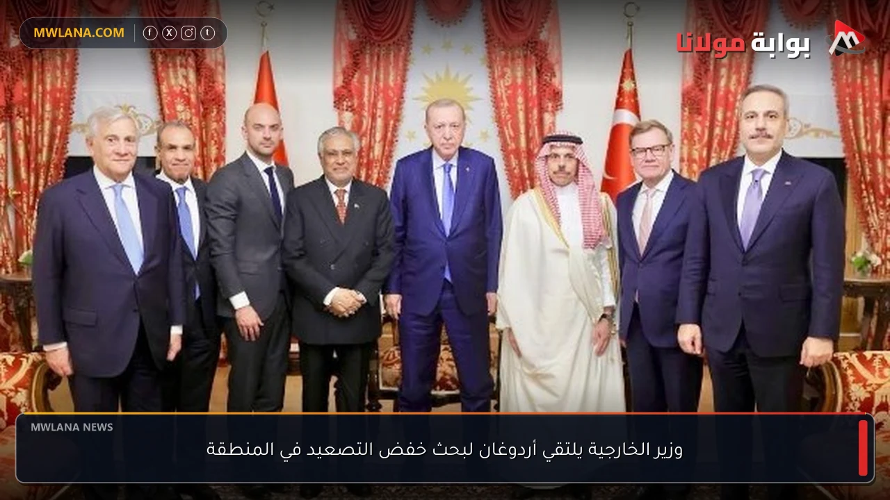 وزير الخارجية يلتقي أردوغان لبحث خفض التصعيد في المنطقة