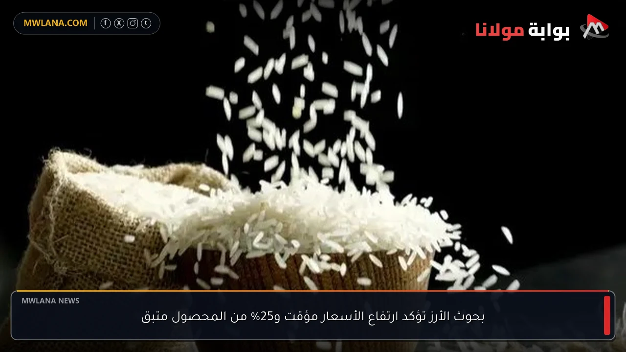 بحوث الأرز تؤكد ارتفاع الأسعار مؤقت و25% من المحصول متبق