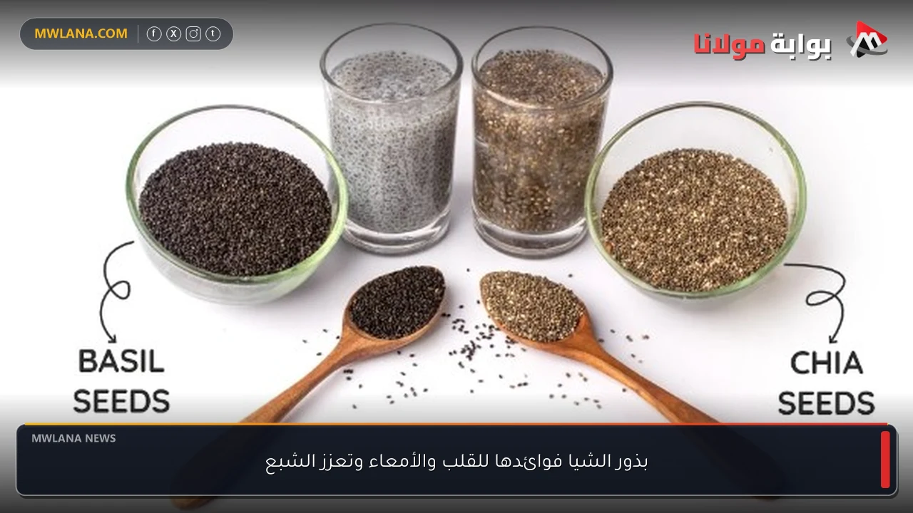 بذور الشيا فوائدها للقلب والأمعاء وتعزز الشبع