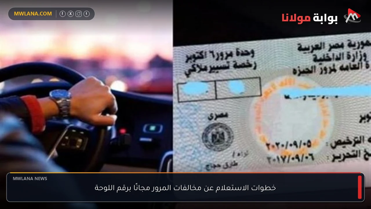 خطوات الاستعلام عن مخالفات المرور مجانًا برقم اللوحة
