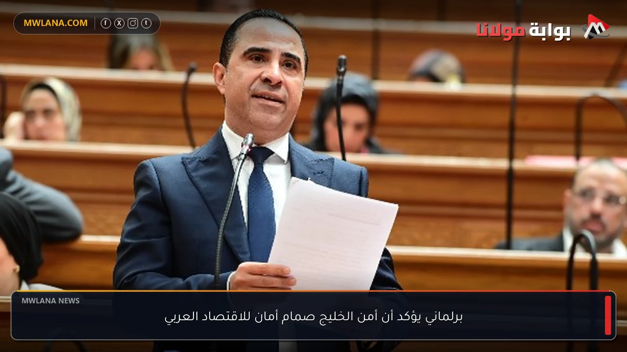 برلماني يؤكد أن أمن الخليج صمام أمان للاقتصاد العربي