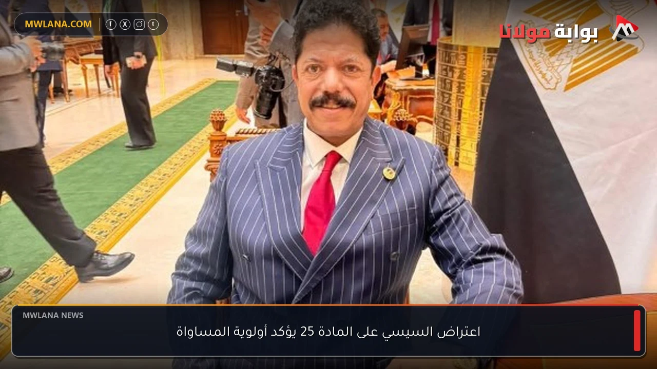اعتراض السيسي على المادة 25 يؤكد أولوية المساواة