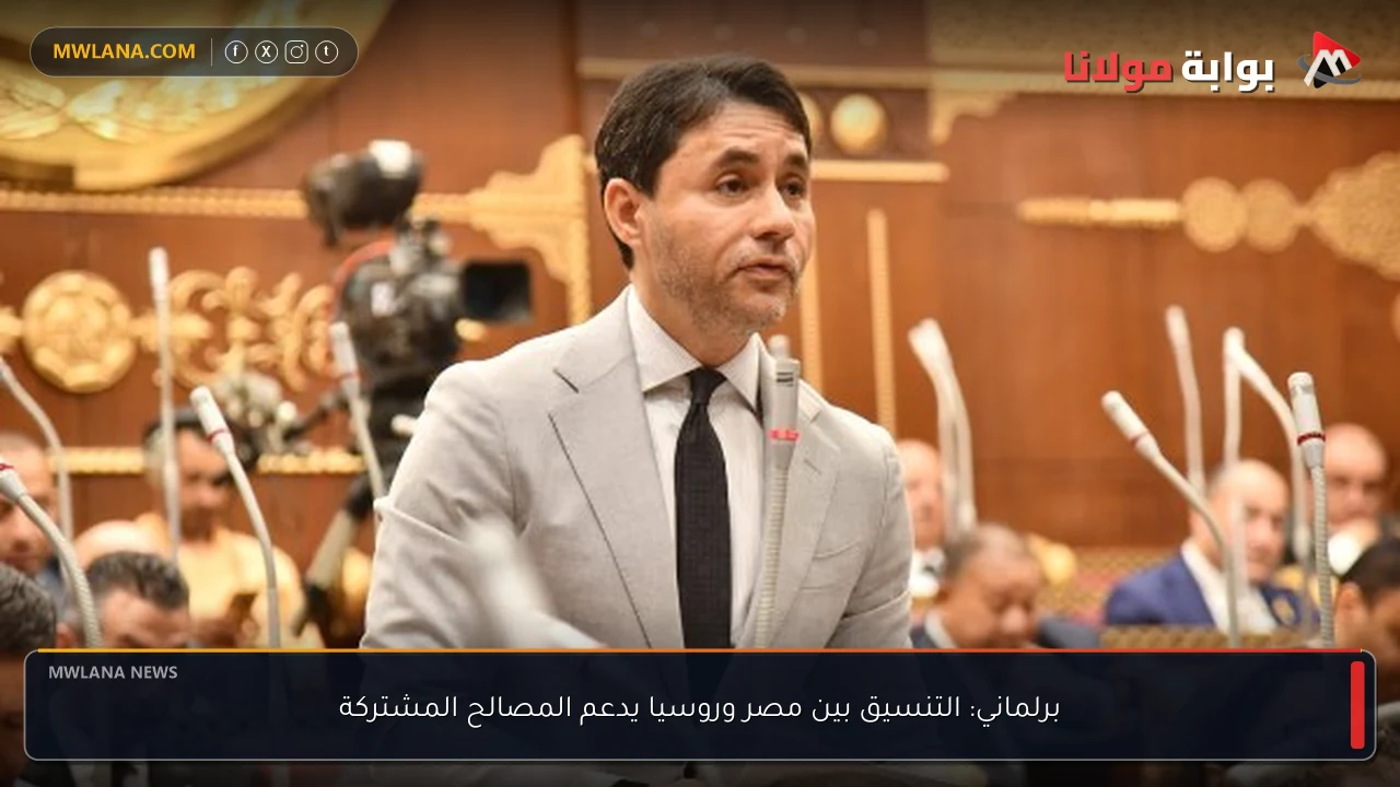 برلماني: التنسيق بين مصر وروسيا يدعم المصالح المشتركة