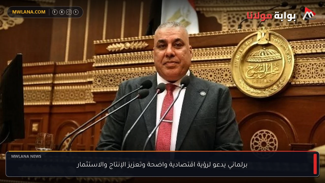 برلماني يدعو لرؤية اقتصادية واضحة وتعزيز الإنتاج والاستثمار