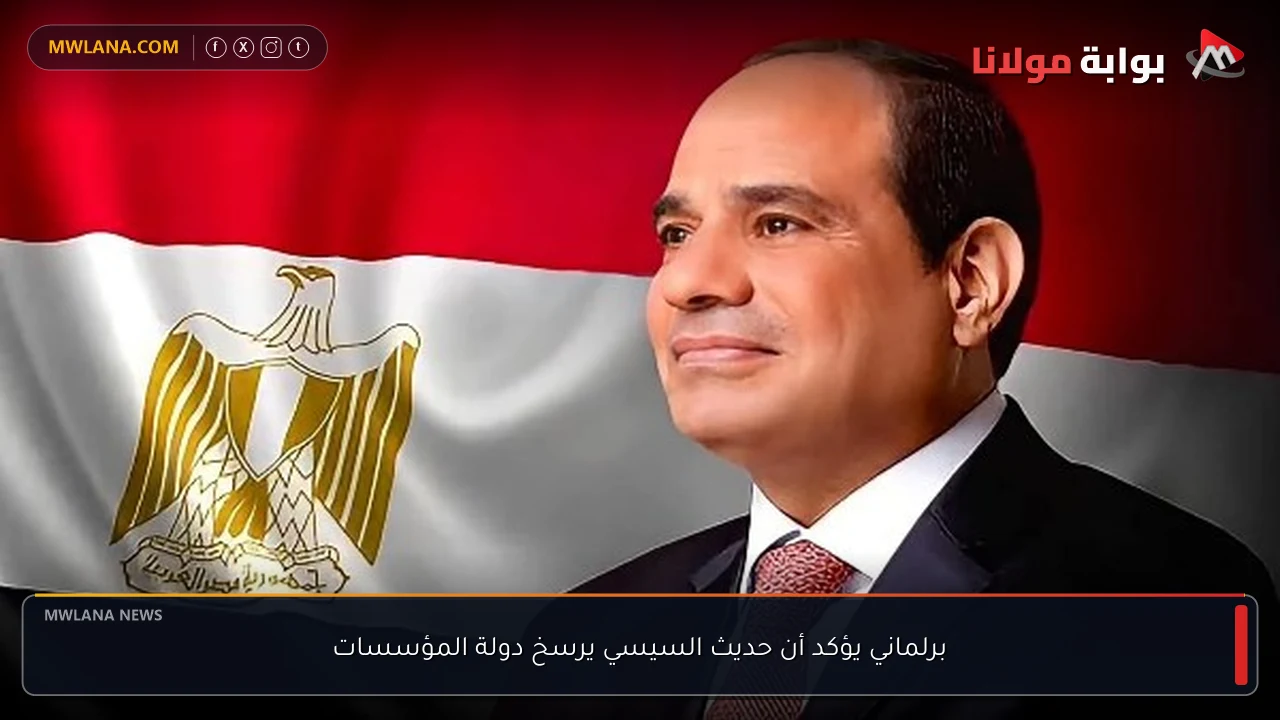 برلماني يؤكد أن حديث السيسي يرسخ دولة المؤسسات