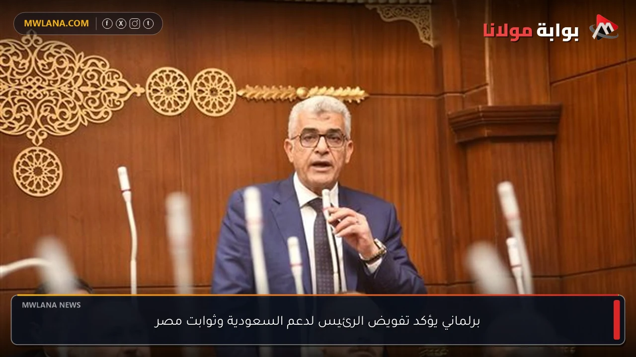 برلماني يؤكد تفويض الرئيس لدعم السعودية وثوابت مصر