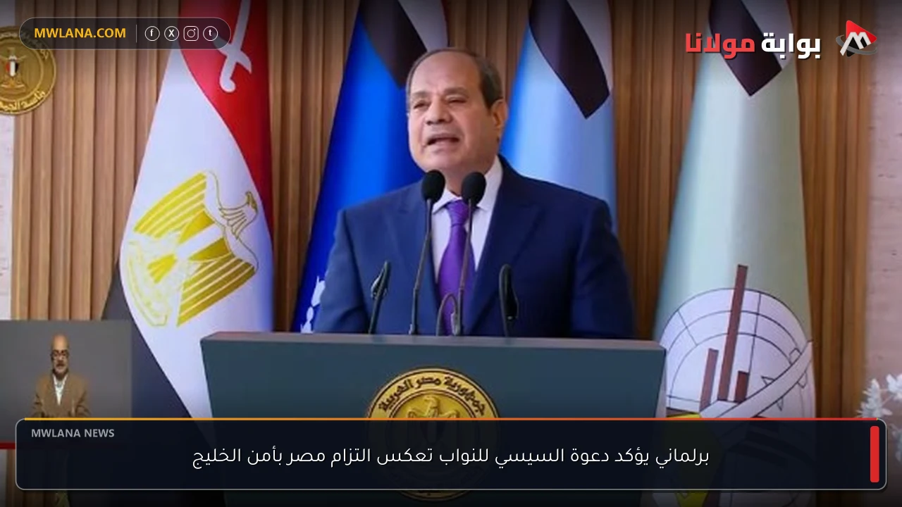 برلماني يؤكد دعوة السيسي للنواب تعكس التزام مصر بأمن الخليج
