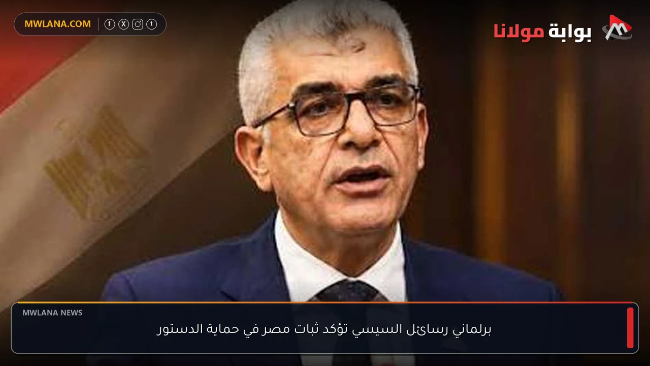 برلماني رسائل السيسي تؤكد ثبات مصر في حماية الدستور