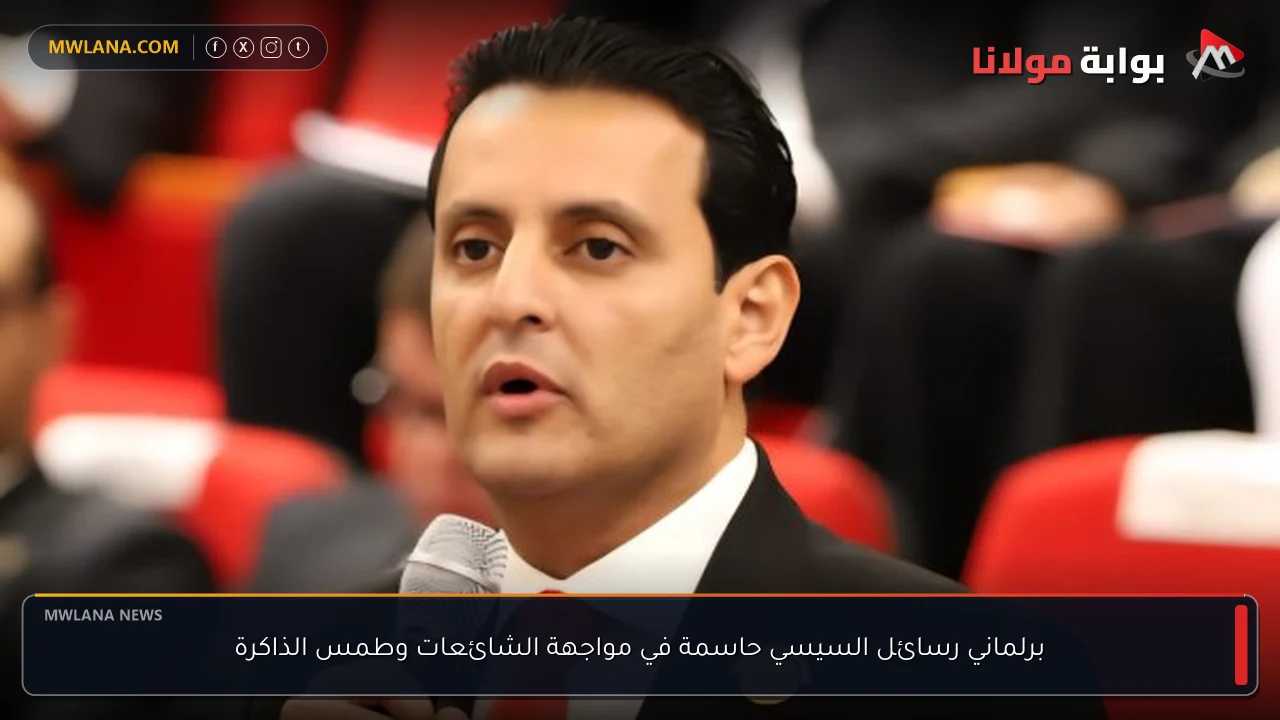 برلماني رسائل السيسي حاسمة في مواجهة الشائعات وطمس الذاكرة