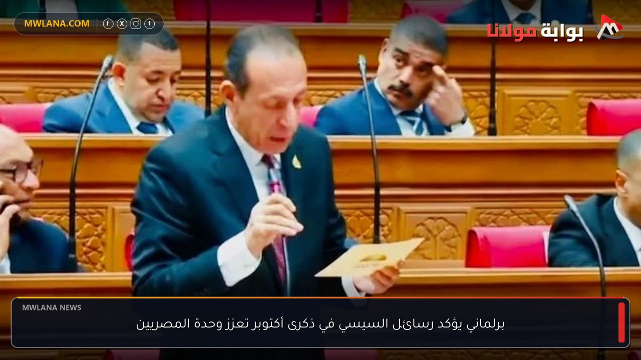 برلماني يؤكد رسائل السيسي في ذكرى أكتوبر تعزز وحدة المصريين