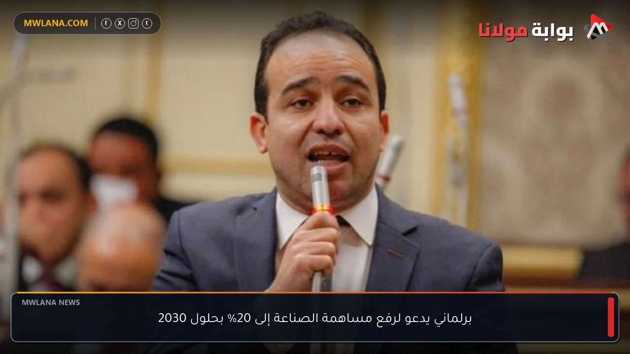 برلماني يدعو لرفع مساهمة الصناعة إلى 20% بحلول 2030