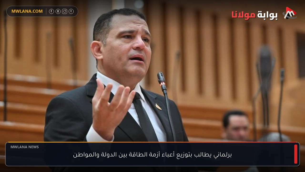 برلماني يطالب بتوزيع أعباء أزمة الطاقة بين الدولة والمواطن