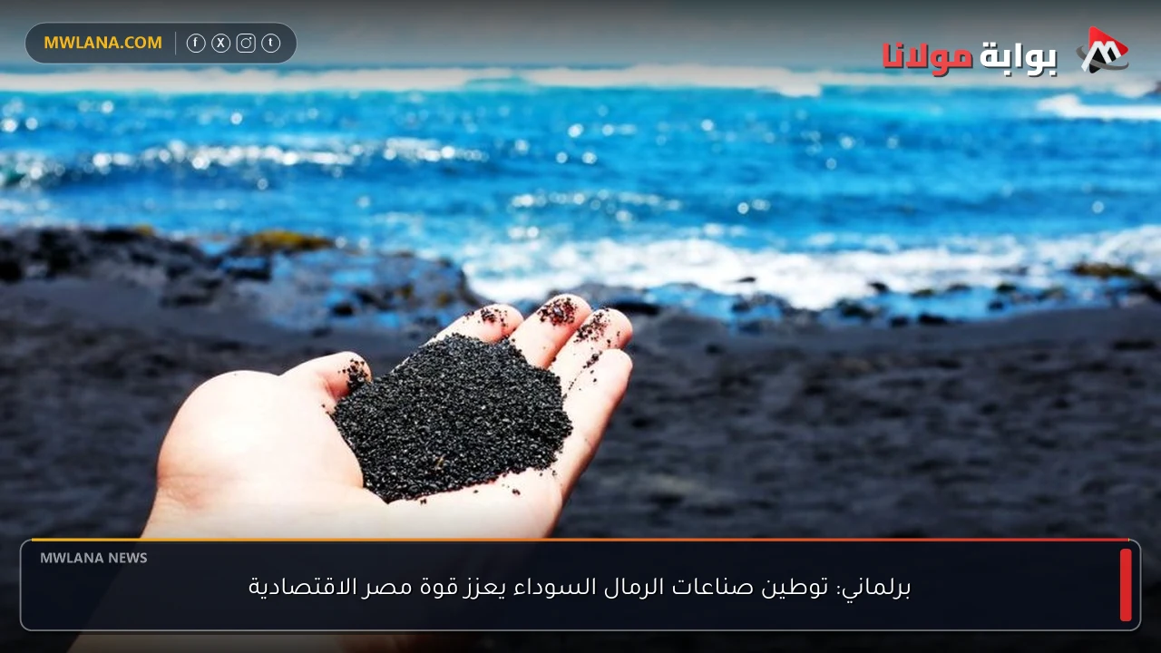 برلماني: توطين صناعات الرمال السوداء يعزز قوة مصر الاقتصادية