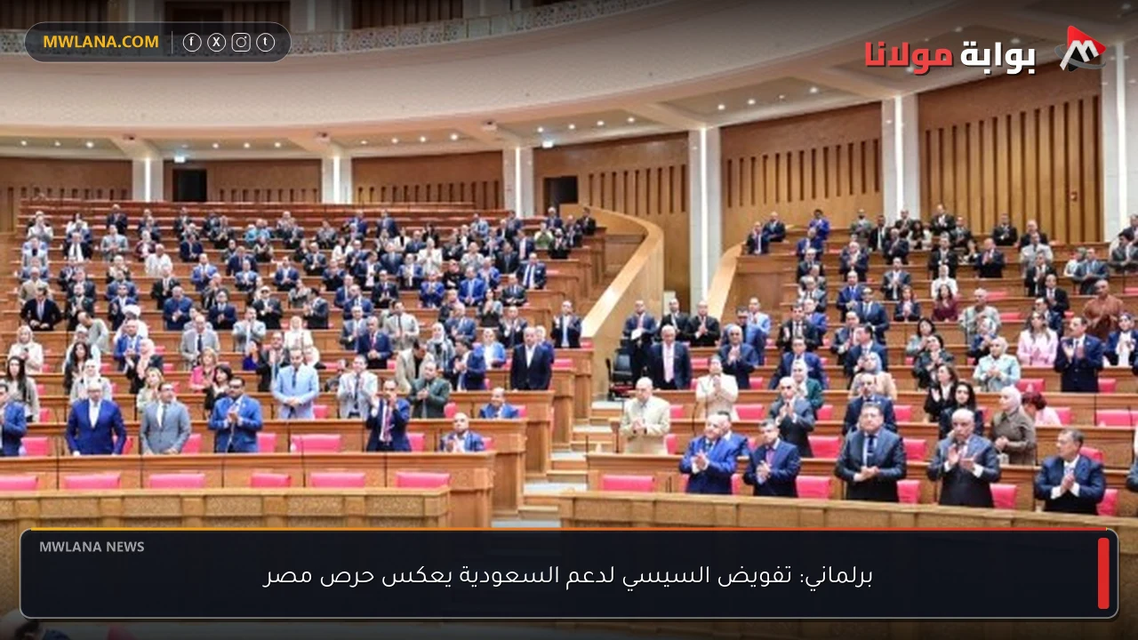 برلماني: تفويض السيسي لدعم السعودية يعكس حرص مصر
