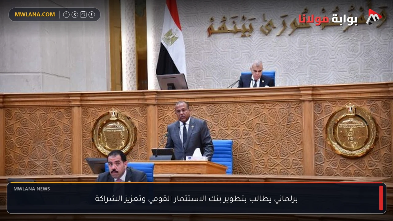 برلماني يطالب بتطوير بنك الاستثمار القومي وتعزيز الشراكة