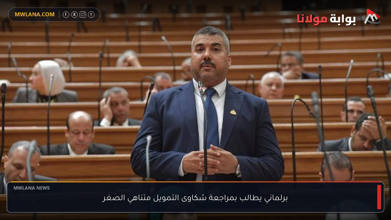 برلماني يطالب بمراجعة شكاوى التمويل متناهي الصغر