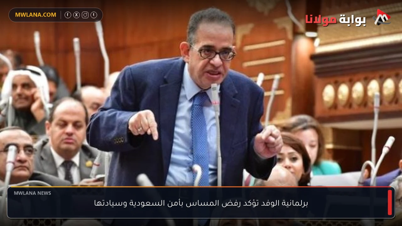 برلمانية الوفد تؤكد رفض المساس بأمن السعودية وسيادتها