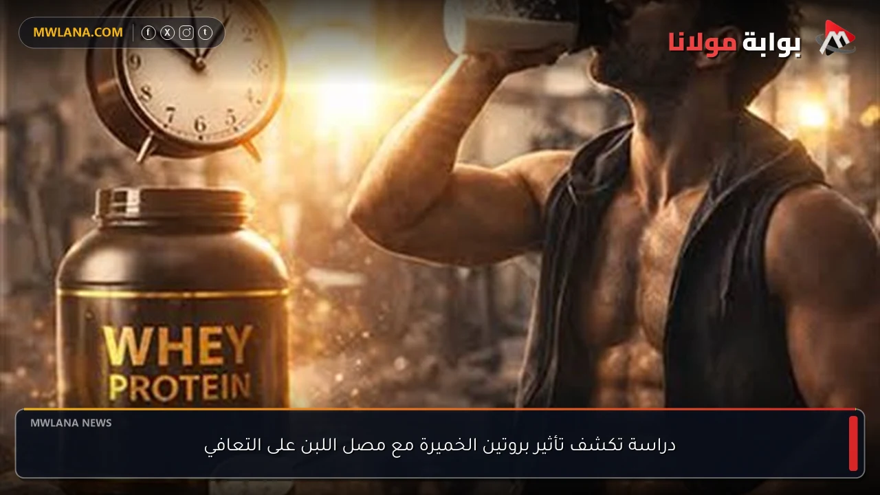دراسة تكشف تأثير بروتين الخميرة مع مصل اللبن على التعافي