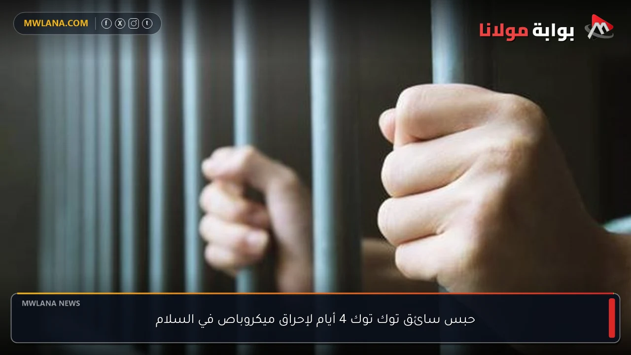 حبس سائق توك توك 4 أيام لإحراق ميكروباص في السلام