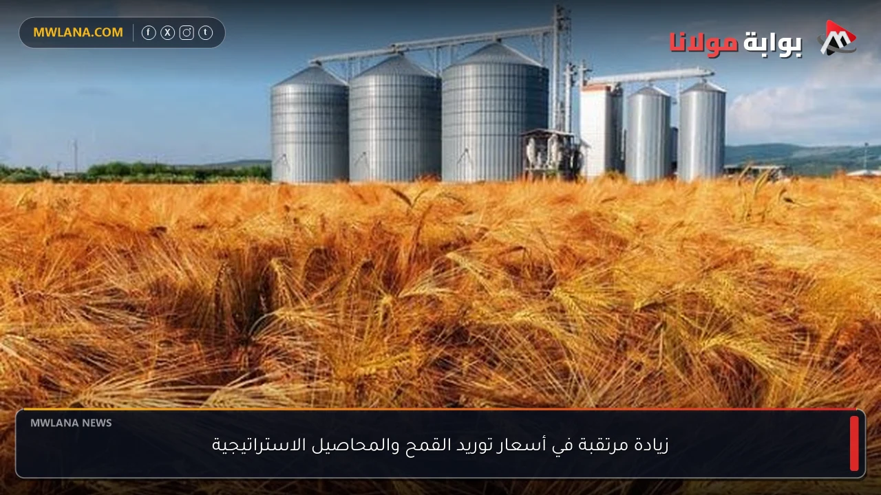 زيادة مرتقبة في أسعار توريد القمح والمحاصيل الاستراتيجية