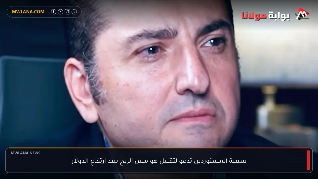 شعبة المستوردين تدعو لتقليل هوامش الربح بعد ارتفاع الدولار