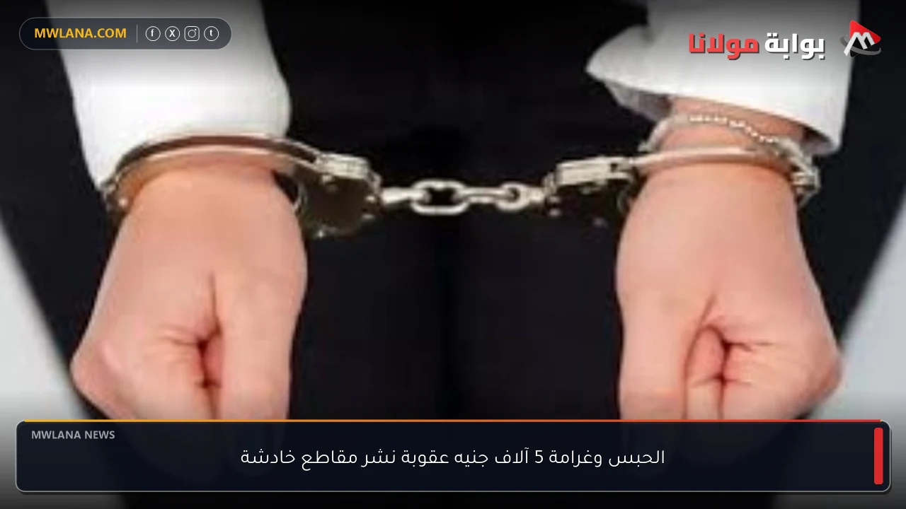 الحبس وغرامة 5 آلاف جنيه عقوبة نشر مقاطع خادشة