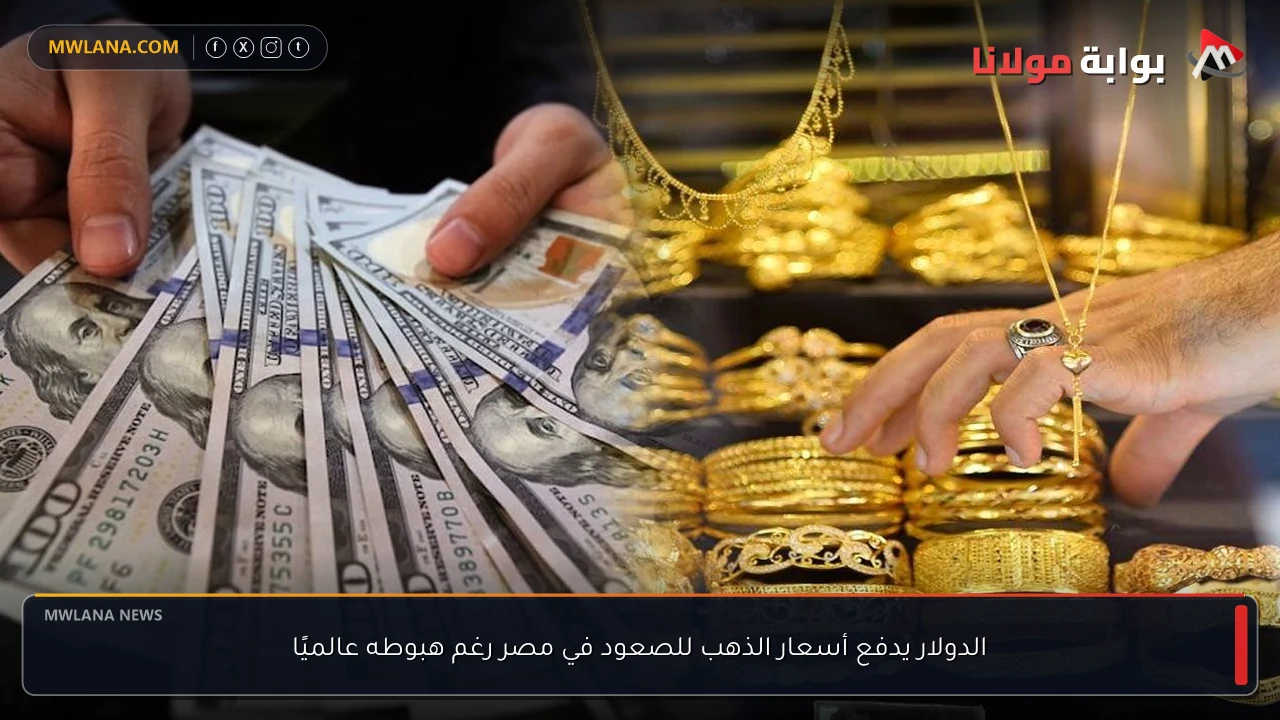 الدولار يدفع أسعار الذهب للصعود في مصر رغم هبوطه عالميًا