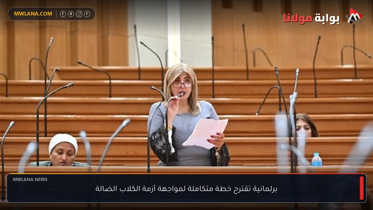 برلمانية تقترح خطة متكاملة لمواجهة أزمة الكلاب الضالة