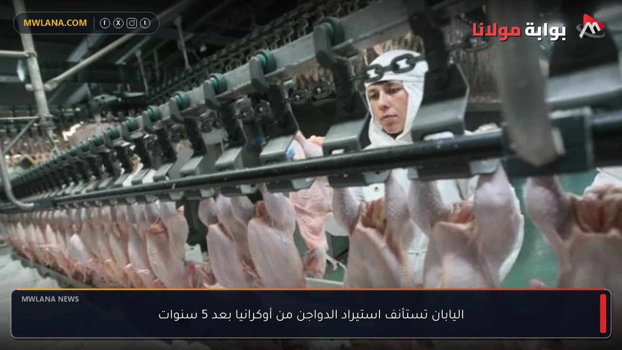 اليابان تستأنف استيراد الدواجن من أوكرانيا بعد 5 سنوات