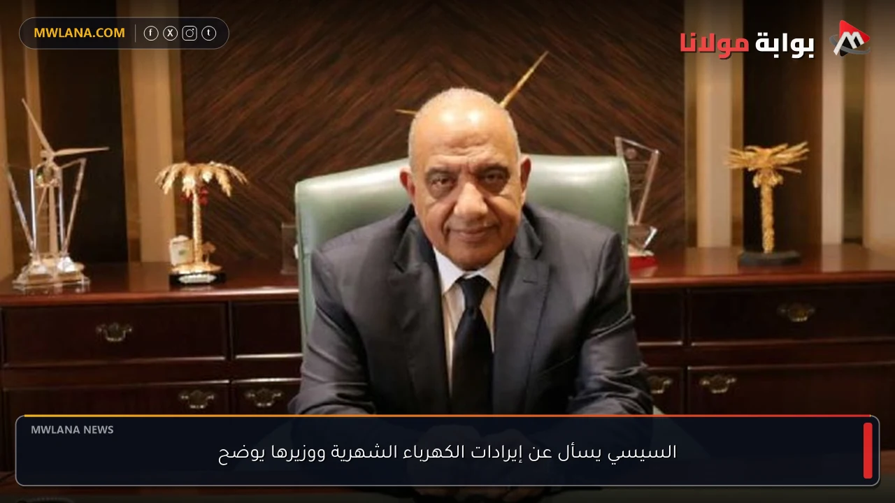 السيسي يسأل عن إيرادات الكهرباء الشهرية ووزيرها يوضح