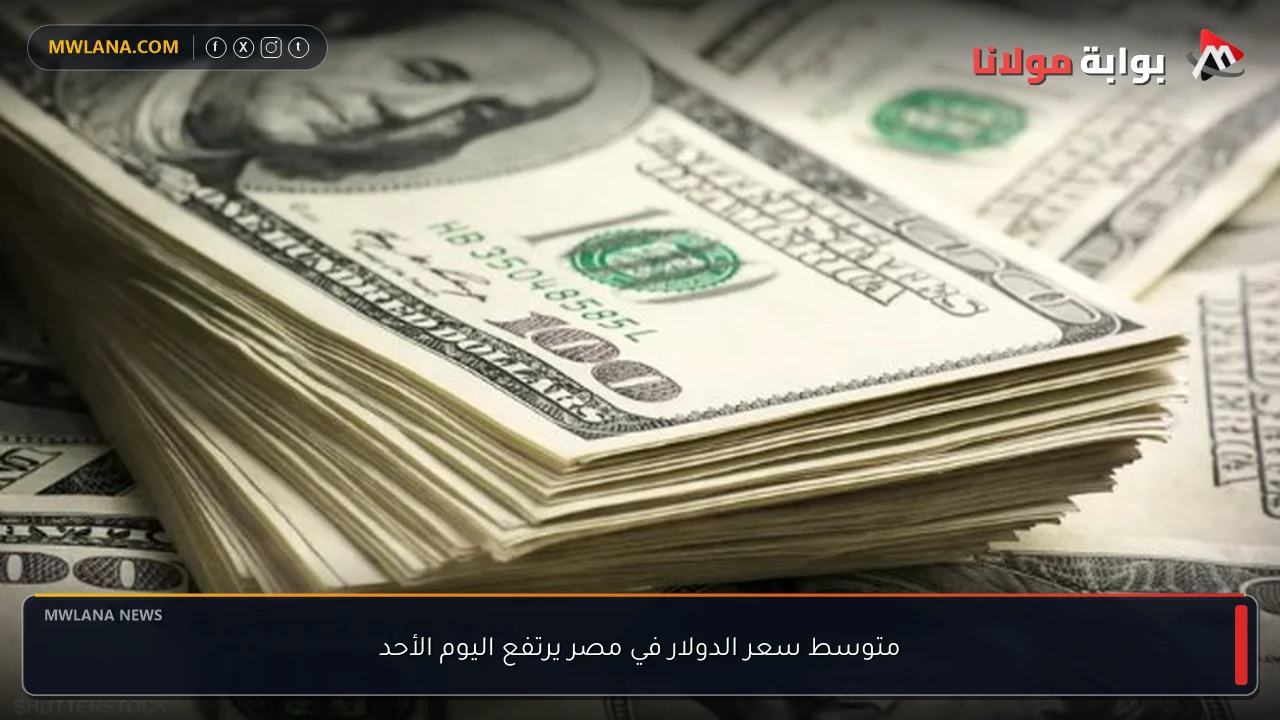 متوسط سعر الدولار في مصر يرتفع اليوم الأحد