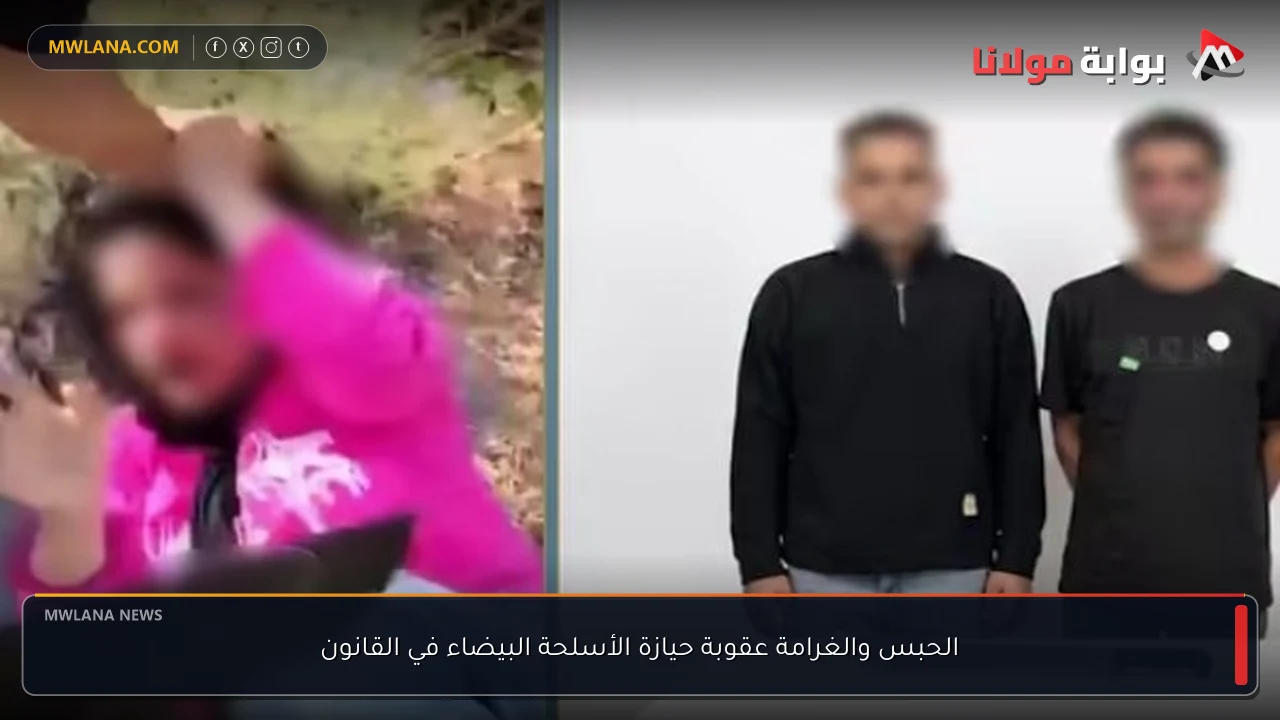 الحبس والغرامة عقوبة حيازة الأسلحة البيضاء في القانون
