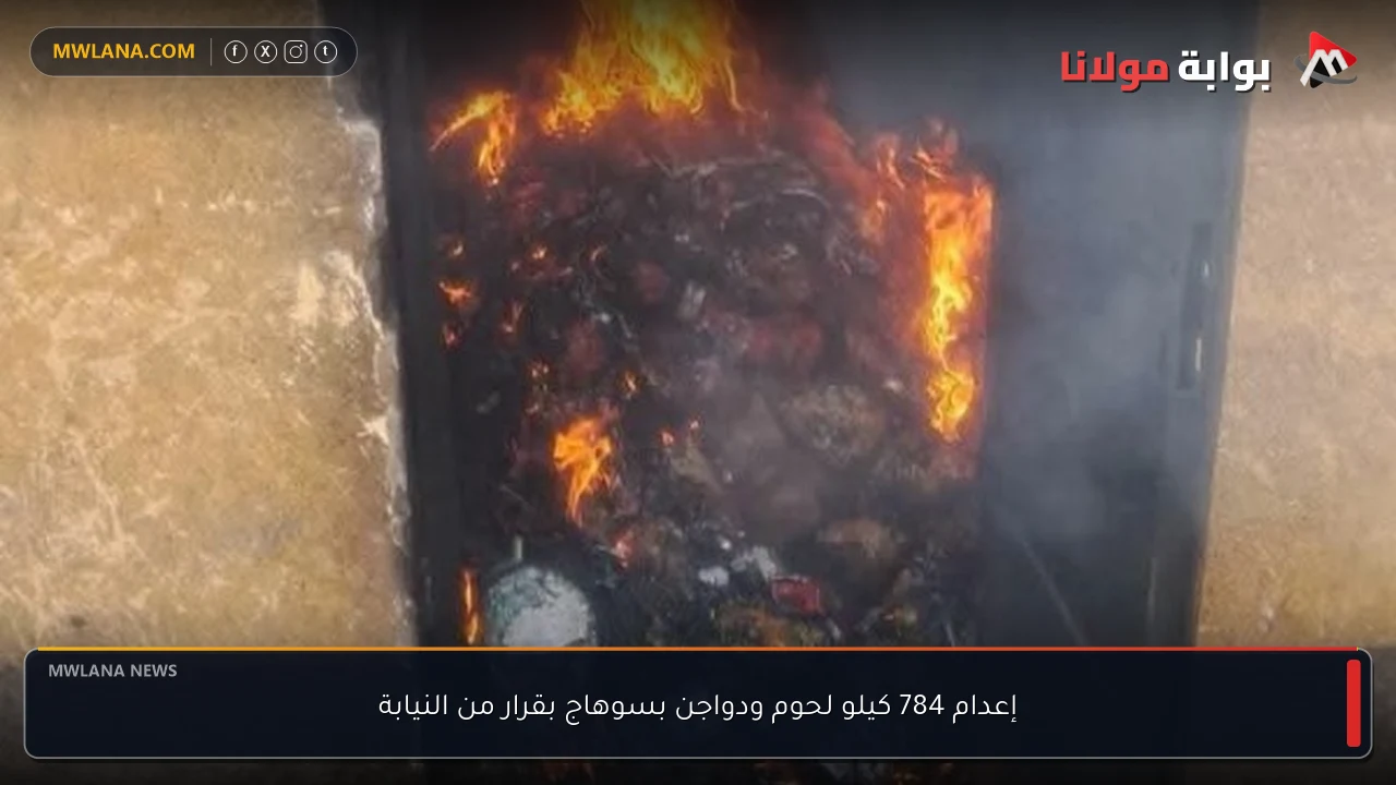 إعدام 784 كيلو لحوم ودواجن بسوهاج بقرار من النيابة