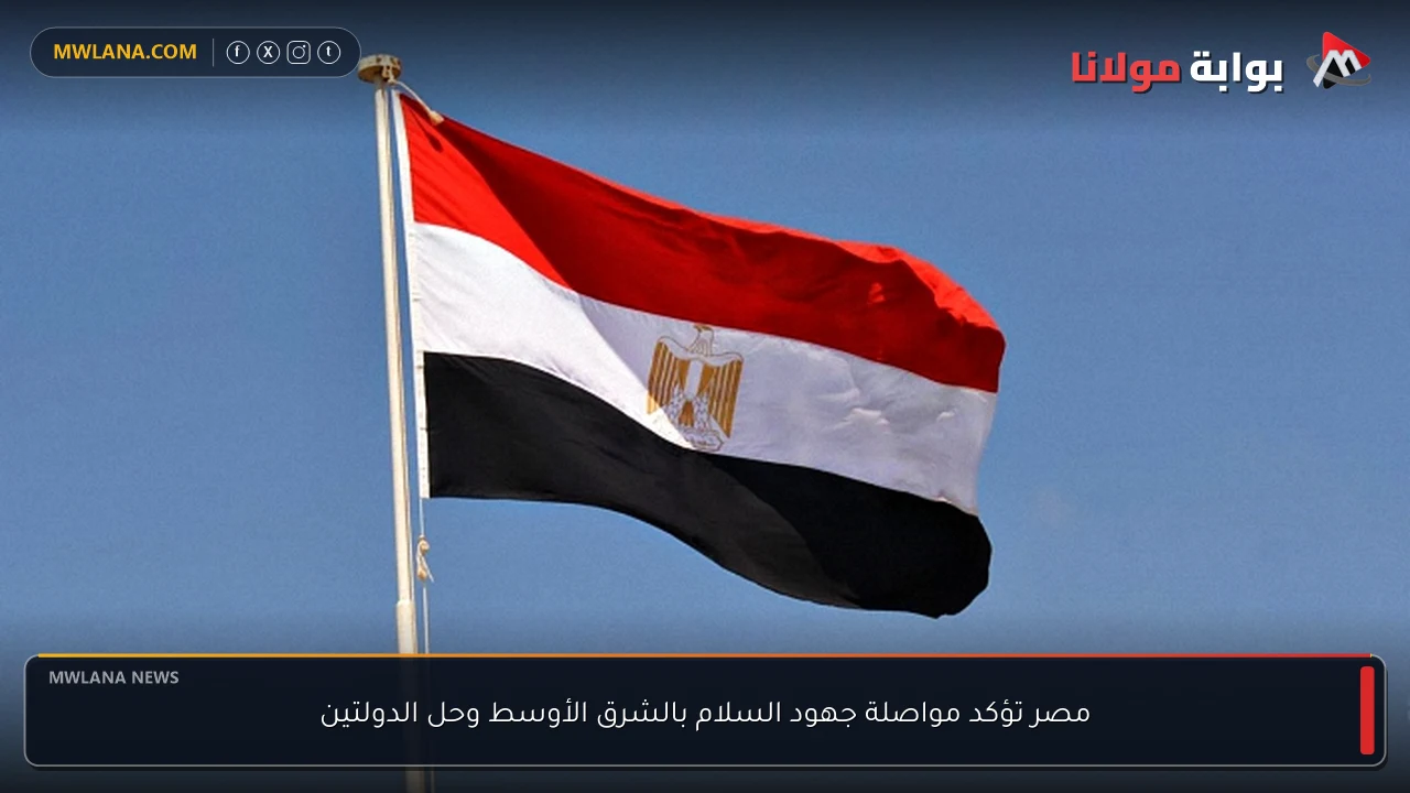 مصر تؤكد مواصلة جهود السلام بالشرق الأوسط وحل الدولتين