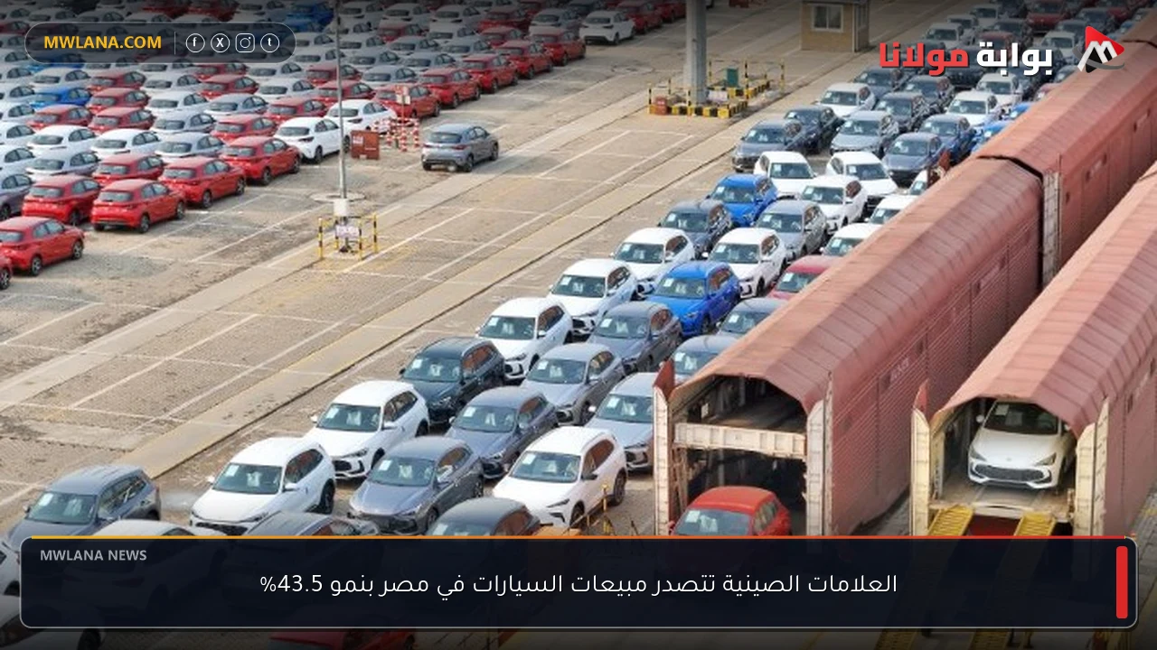 العلامات الصينية تتصدر مبيعات السيارات في مصر بنمو 43.5%