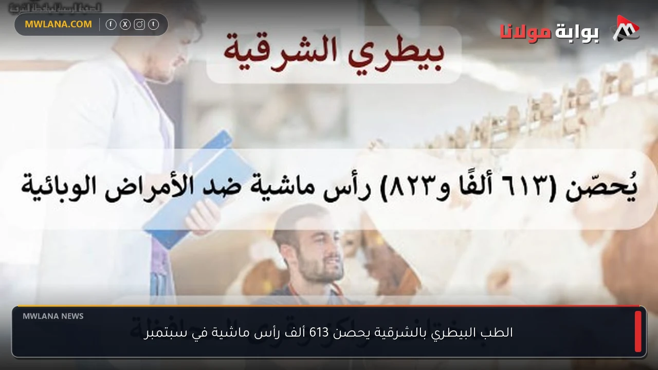 الطب البيطري بالشرقية يحصن 613 ألف رأس ماشية في سبتمبر