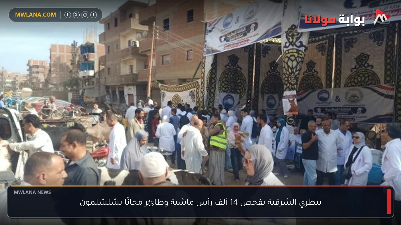 بيطري الشرقية يفحص 14 ألف رأس ماشية وطائر مجانًا بشلشلمون
