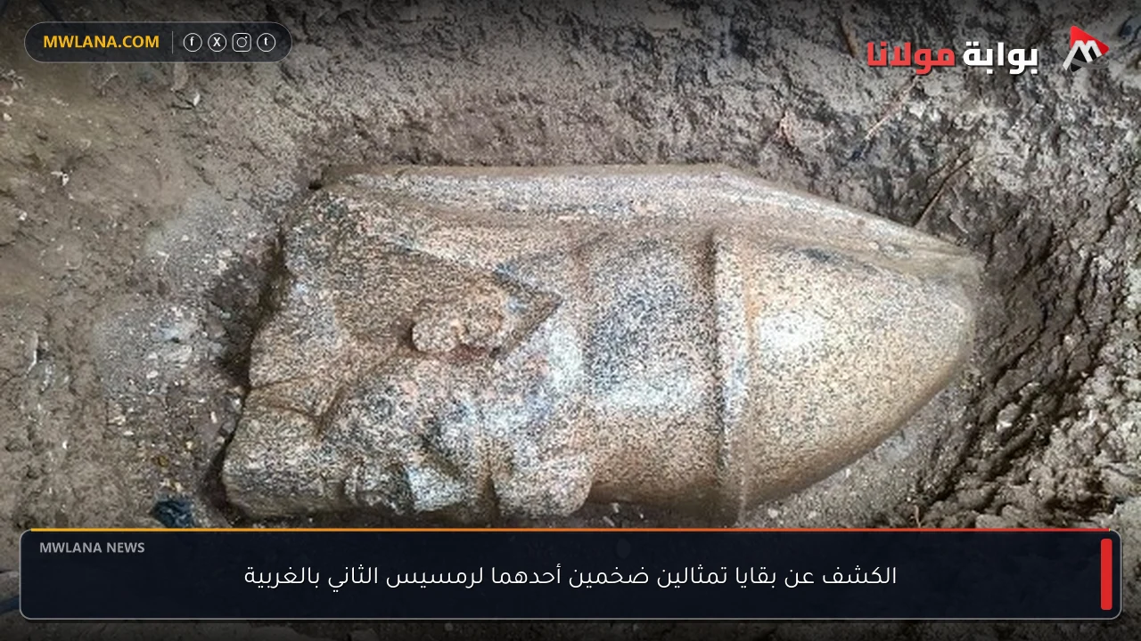 الكشف عن بقايا تمثالين ضخمين أحدهما لرمسيس الثاني بالغربية
