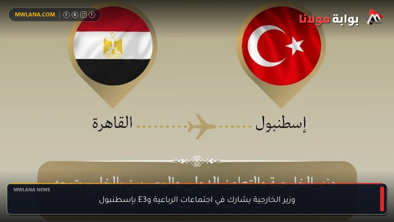 وزير الخارجية يشارك في اجتماعات الرباعية وE3 بإسطنبول