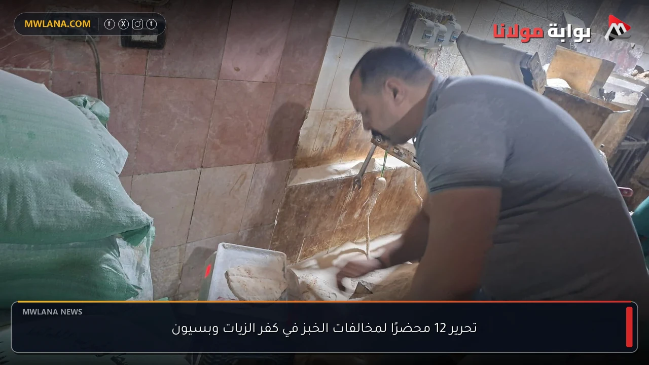 تحرير 12 محضرًا لمخالفات الخبز في كفر الزيات وبسيون