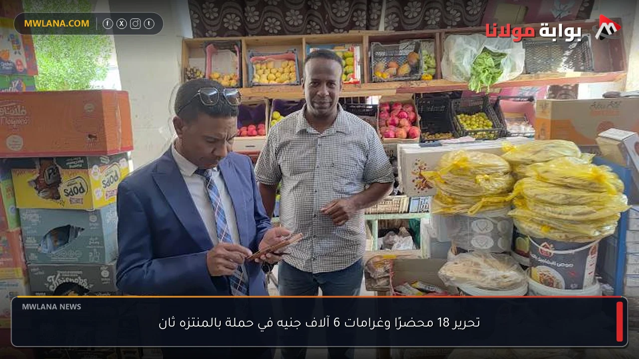تحرير 18 محضرًا وغرامات 6 آلاف جنيه في حملة بالمنتزه ثان