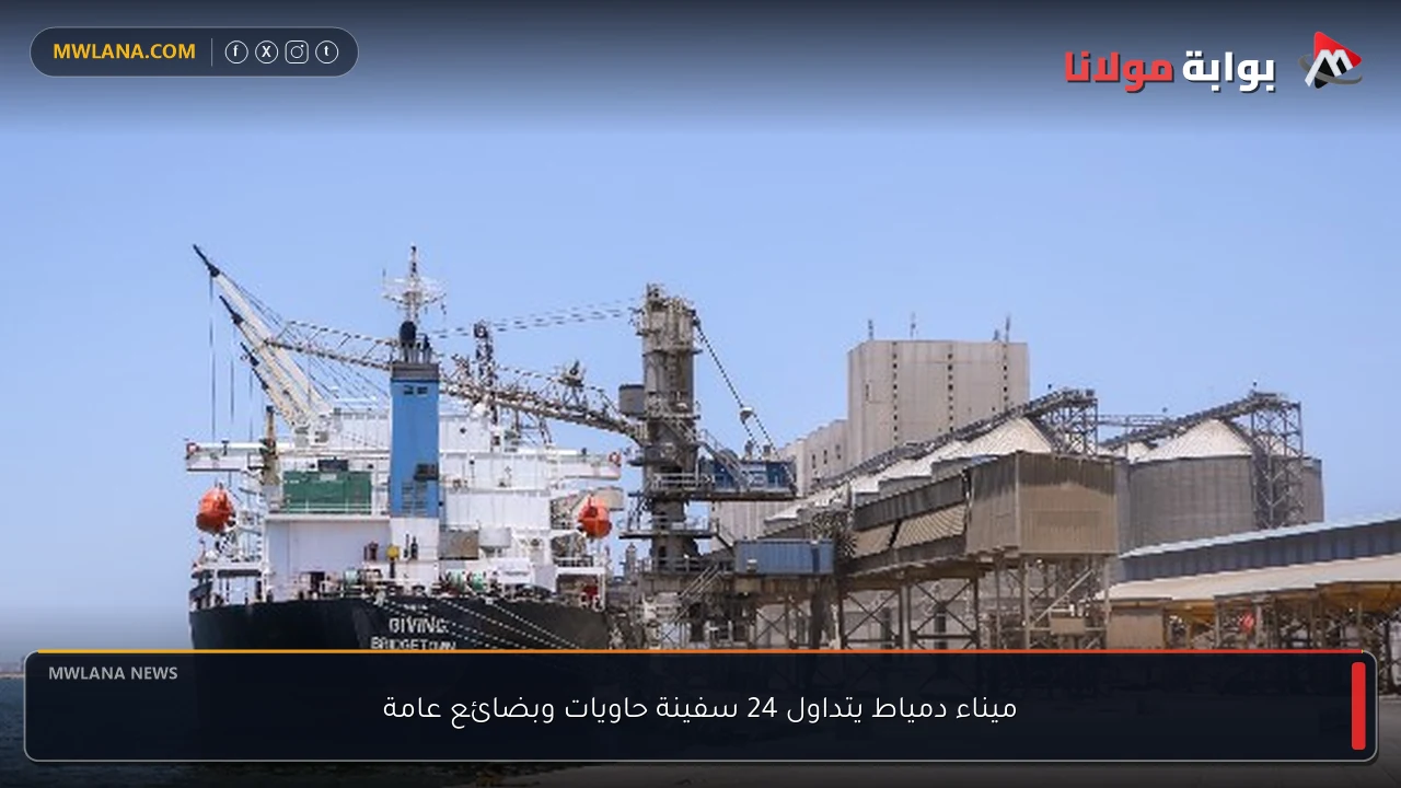 ميناء دمياط يتداول 24 سفينة حاويات وبضائع عامة