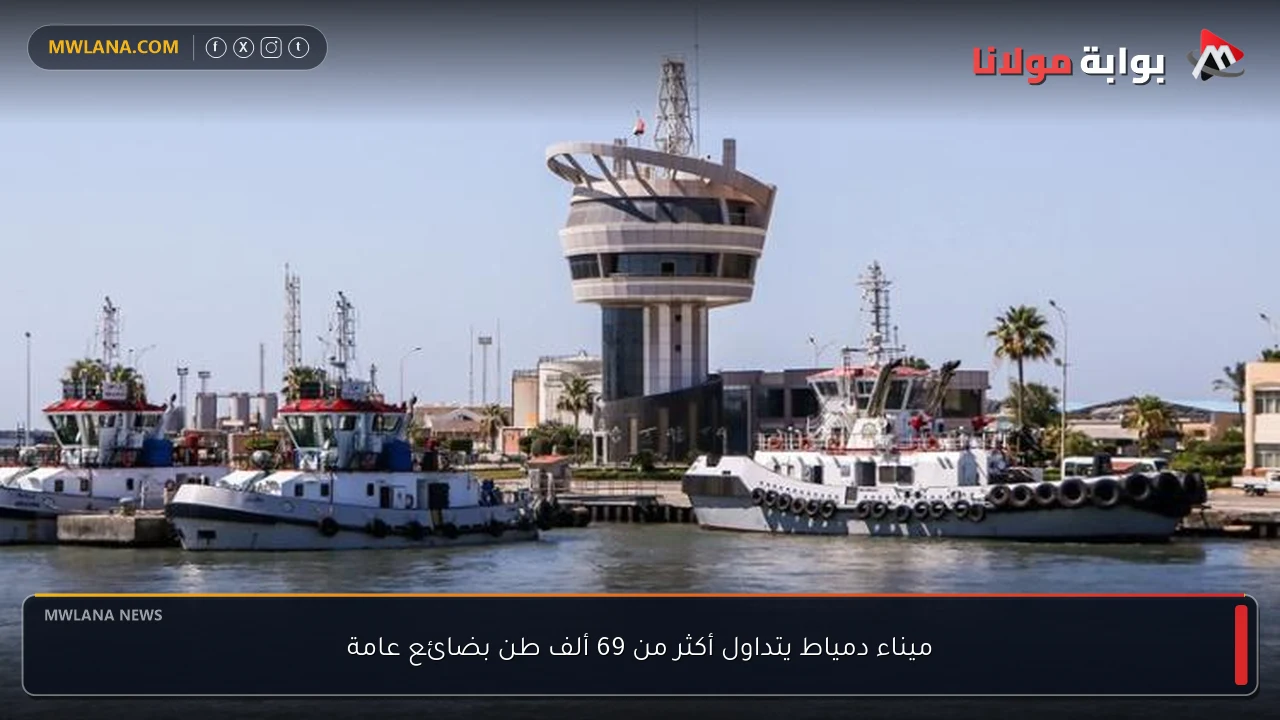 ميناء دمياط يتداول أكثر من 69 ألف طن بضائع عامة