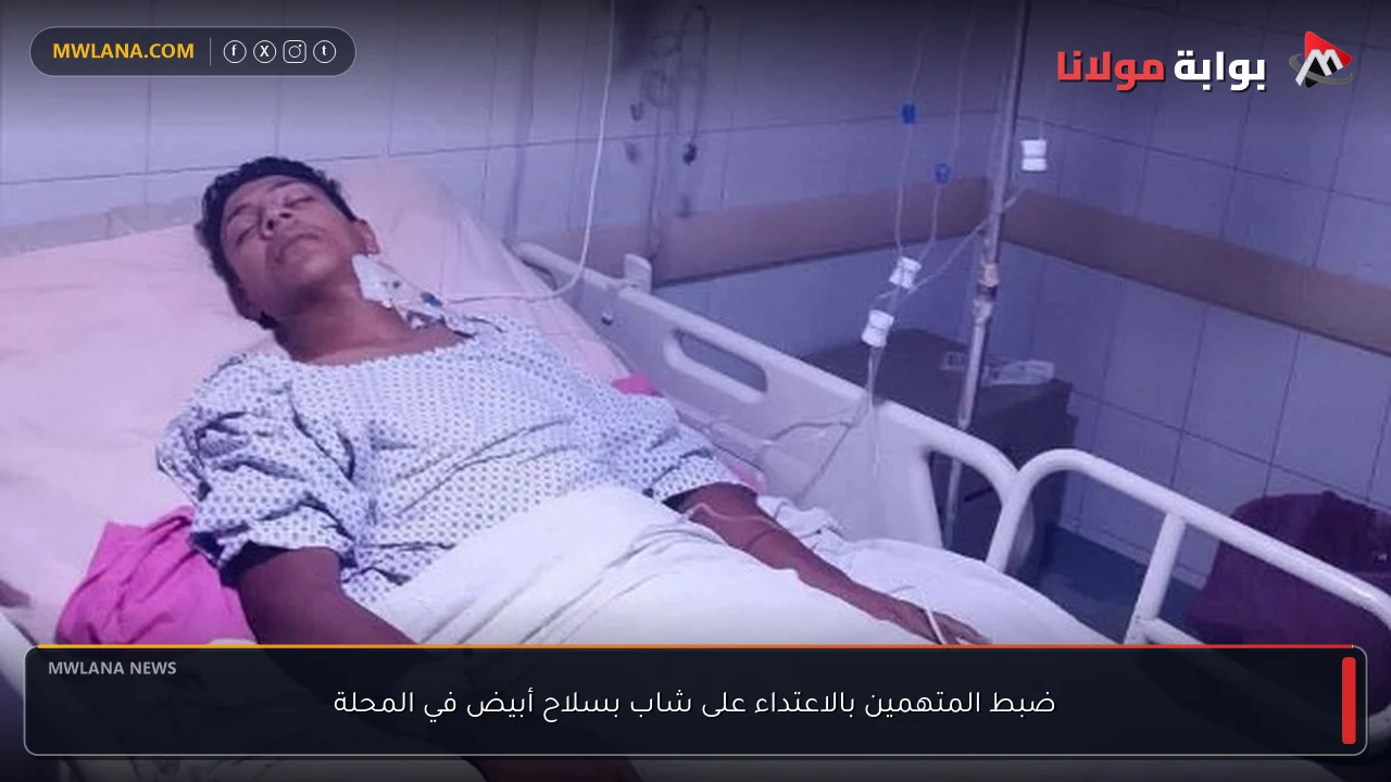 ضبط المتهمين بالاعتداء على شاب بسلاح أبيض في المحلة