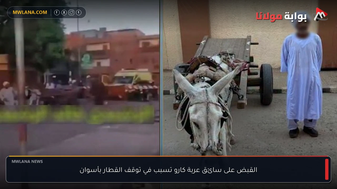القبض على سائق عربة كارو تسبب في توقف القطار بأسوان