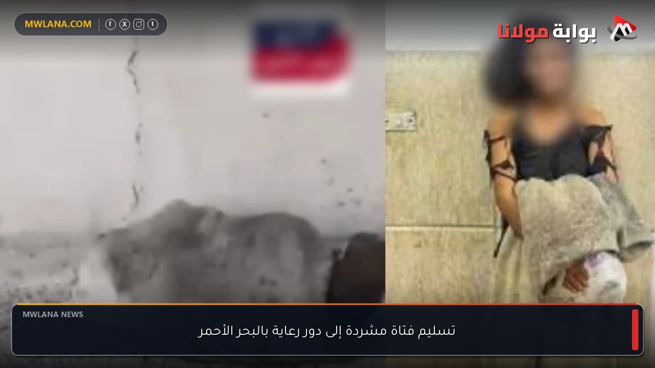 تسليم فتاة مشردة إلى دور رعاية بالبحر الأحمر